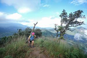 BIB: 
                            <button type="button" onclick="openModal(22371868)" class="btn btn-primary btn-sm float-right btn-popup" data-toggle="modal" data-target=".modal-high-quality">
                        <i class="fas fa-shopping-cart"></i> Add to Cart
                    </button>
                                            <button type="button" onclick="isThisMe(22371868, true)" class="btn btn-success btn-sm float-right btn-popup btn-isme hidden" data-toggle="tooltip" data-placement="bottom" title="นี่คือรูปของคุณใช่ไหม คลิกที่นี่เพื่อเอาเข้าอัลบั้ม">
                        <i class="fas fa-plus"></i> Add to album
                    </button>
                    <button type="button" onclick="isThisMe(22371868, false)" class="btn btn-warning btn-sm float-right btn-popup btn-isnotme hidden">
                        <i class="fas fa-ban"></i> Remove from album
                    </button>